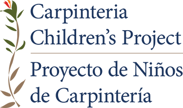 CSP logo
